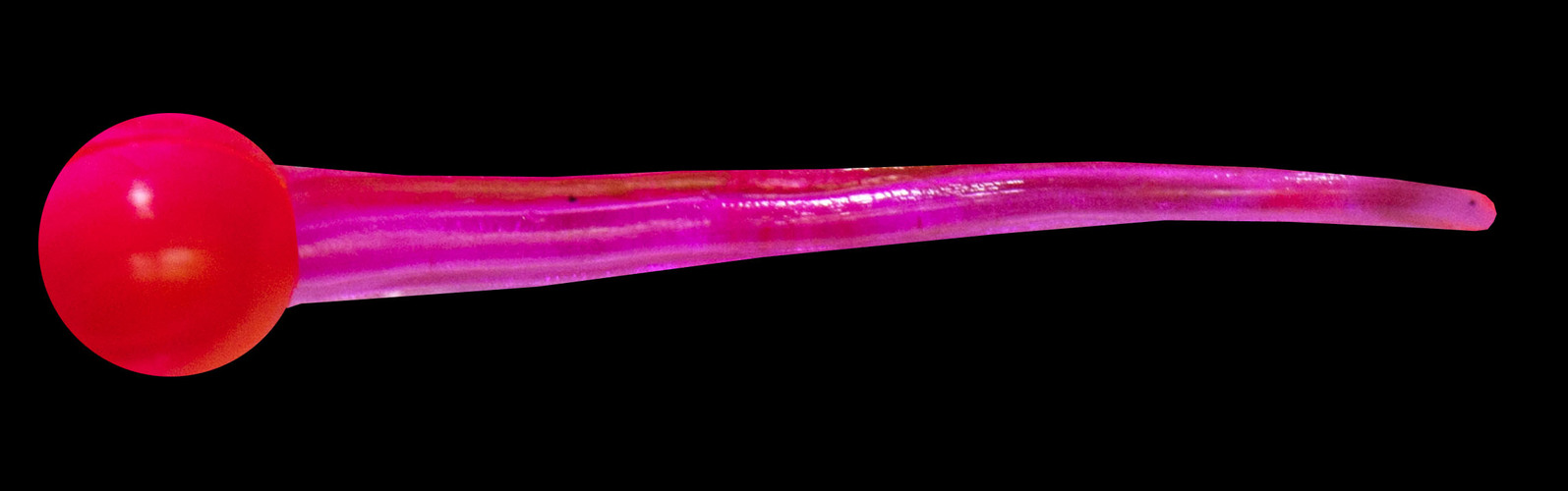 SPERM WORM 3/4 STANDARD